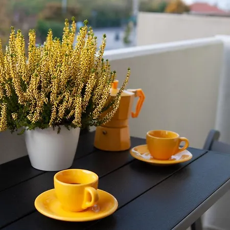 Mv Yellow * Verona
